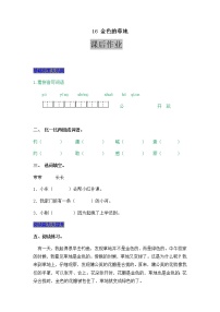 人教部编版第五单元16 金色的草地课时作业