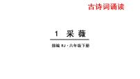 小学语文人教部编版六年级下册1 采薇（节选）说课ppt课件