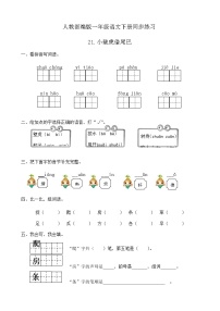 小学语文人教部编版一年级下册21 小壁虎借尾巴优秀课后作业题