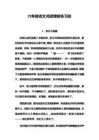 六年级语文阅读理解练习题试卷