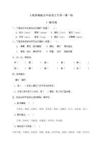 人教部编版五年级下册梅花魂精品当堂达标检测题