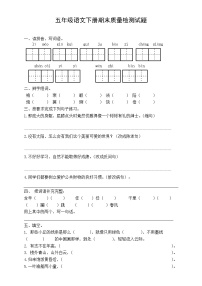 人教版五年级语文下册期末试卷 (2)