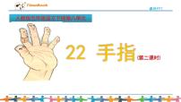 小学语文人教部编版五年级下册第八单元22 手指教课课件ppt