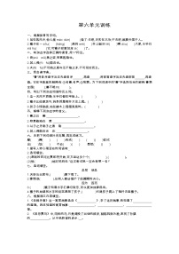 人教部编版五年级下册第六单元单元综合与测试单元测试同步测试题