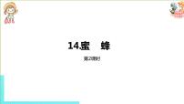 小学语文人教部编版三年级下册14 蜜蜂教案配套ppt课件