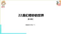 语文三年级下册22 我们奇妙的世界说课ppt课件