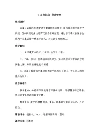 语文人教部编版5 雷锋叔叔，你在哪里教案设计