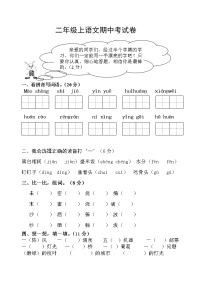 部编版小学二年级下册语文期中考试卷 (4)