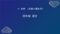 人教部编版四年级下册11 白桦课文内容ppt课件