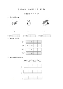 小学语文2 i u ü y w测试题