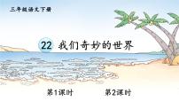 小学22 我们奇妙的世界课堂教学ppt课件