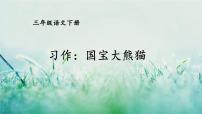 小学语文人教部编版三年级下册习作：国宝大熊猫图文课件ppt