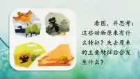 语文习作：这样想象真有趣多媒体教学课件ppt