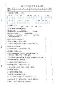 人教版小学五年级语文下册期中试卷 (6)