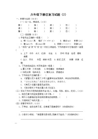 （含答案）人教新课标语文六年级下学期总复习试 (2)