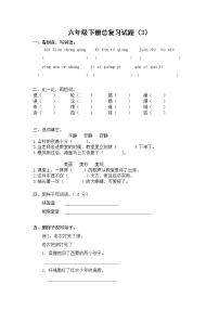 （含答案）人教新课标语文六年级下学期总复习试 (3)