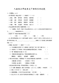 人教版六年级语文下册期末测试题 (3)