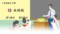 小学人教部编版13 画杨桃课文课件ppt