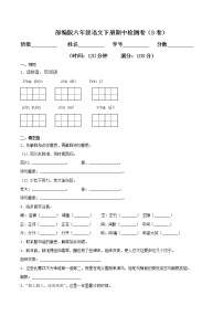 六年级语文下册期中检测卷二（含答案）