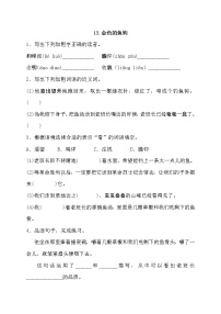 小学语文13* 金色的鱼钩课时作业