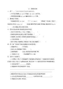 人教部编版15 表里的生物课时作业