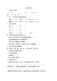 人教部编版15 表里的生物课时练习