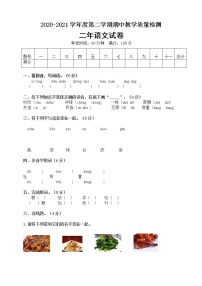 二年级下册语文试题期中测试卷部编版 （含答案）