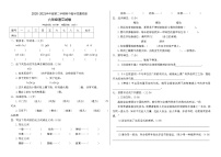 六年级下册语文期中测试卷人教部编版（含答案） (3)