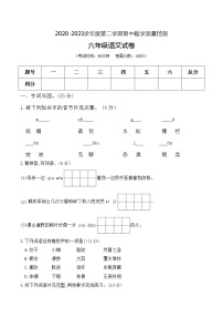 六年级下册语文期中综合测试卷人教（部编版）（含答案）