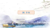 人教部编版三年级下册28* 枣核教课课件ppt