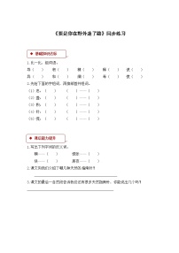 小学语文17 要是你在野外迷了路当堂达标检测题