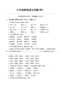 部编版2021年小升初语文模拟试题（四）（含答案）