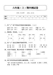 4统编版六年级上册语文试题-期中测试卷（含答案）