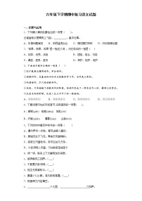 2020-2021学年六年级下册语文试题   下学期期中语文试题（含答案）部编版