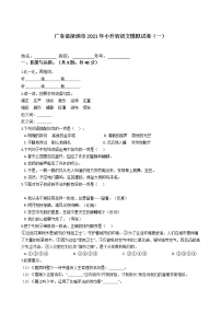 六年级语文下册试题 广东省深圳市2020-2021学年小升初语文模拟试卷（一）（含答案）部编版