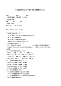 六年级语文下册试题 广东省深圳市2020-2021学年小升初语文模拟试卷（九）（含答案）部编版