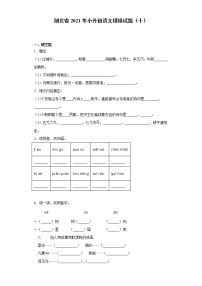 六年级下册语文试题  湖北省2021年小升初语文模拟试题（十）（含答案）部编版