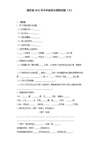 六年级下册语文试题   湖北省2021年小升初语文模拟试题（七）（含答案）部编版