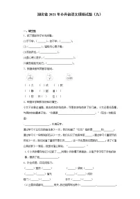 六年级下册语文试题 湖北省2021年小升初语文模拟试题(九)(含答案)部编版