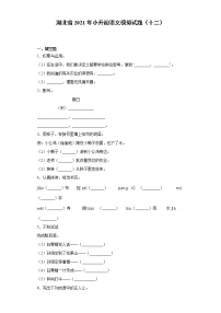 六年级下册语文试题  湖北省2021年小升初语文模拟试题（十二）（含答案）部编版