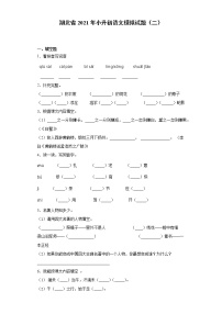 六年级下册语文试题  湖北省2021年小升初语文模拟试题（二）（含答案）部编版