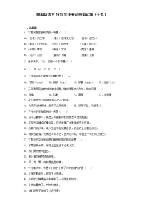 六年级下册语文试题-2021年小升初模拟试题(十九)含答案部编版