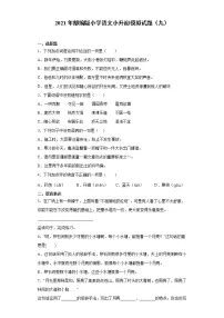 六年级下册语文试题 2020-2021学年小升初模拟试题(九) (含答案)部编版