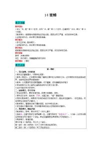 人教部编版三年级下册14 蜜蜂教案