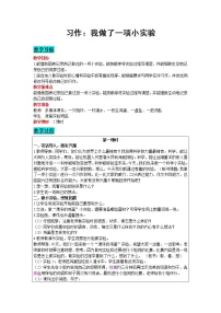 语文三年级下册习作:我做了一项小实验教案设计
