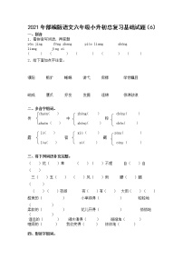 2021年部编版语文六年级下学期总复习试卷含答案 (6)