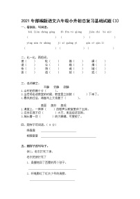 2021年部编版语文六年级下学期总复习试卷含答案 (3)