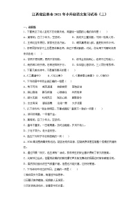 六年级下册语文试题 江西省宜春市2021年小升初语文复习试卷（三） （含答案）部编版