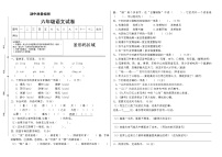 2020-2021学年六年级下册语文试题---期中测试卷（二）（有答案）部编版