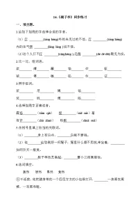 2021学年14 刷子李同步训练题